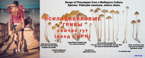 марки nbome Горнозаводск